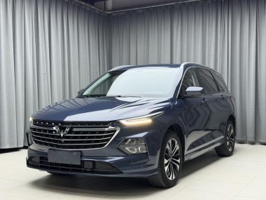 Wuling Capgemini 2022, фото 1
