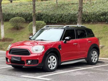 MINI COUNTRYMAN 2019, фото 1