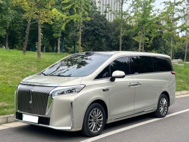 WEY PHEV 2025, фото 1