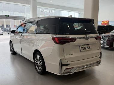 Buick GL8 ES Luzun 653T Premium — фото 4