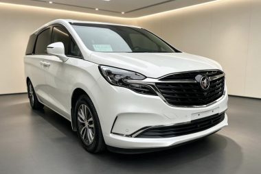 Buick GL8 ES Luzun 653T Premium — фото 3