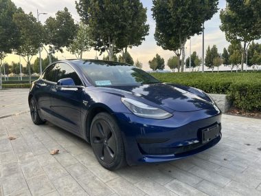 Tesla Model 3 (Import) Standard Range RWD Upgraded — фото 3