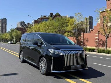 WEY PHEV 4WD Flagship — фото 3