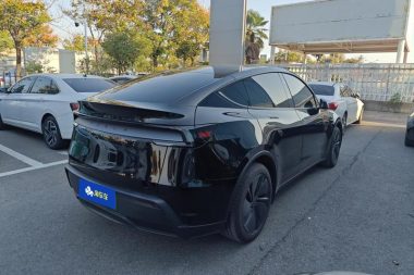 Tesla Model Y RWD — фото 3