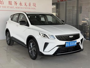 Geely Coolray 1.5L CVT — фото 3