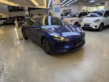 Tesla Model 3 Standard Range RWD Upgraded — фото 2