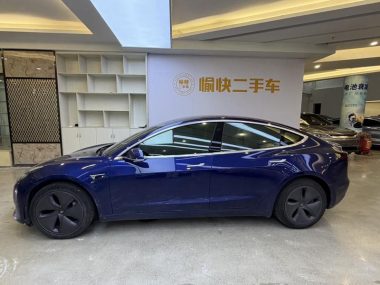 Tesla Model 3 Standard Range RWD Upgraded — фото 3