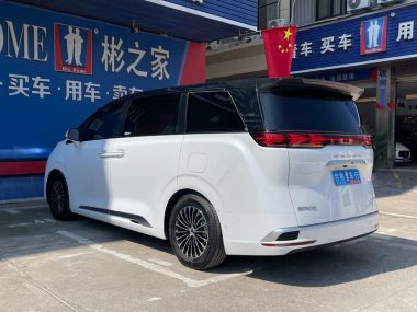 Denza D9 DM 970 4WD Flagship — фото 4