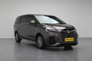 Buick GL8 Land Business Class 2.0T Luxury — фото 3