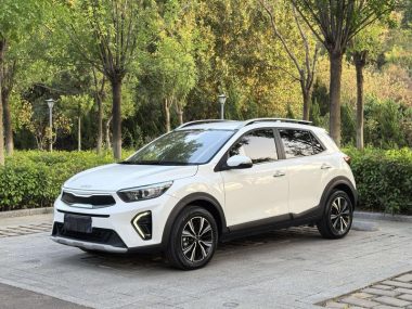 Kia Pegas 2024, фото 1