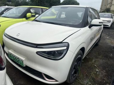 Dongfeng eπ 01 2024, фото 1