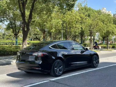 Tesla Model 3 Standard Range RWD Upgraded — фото 4