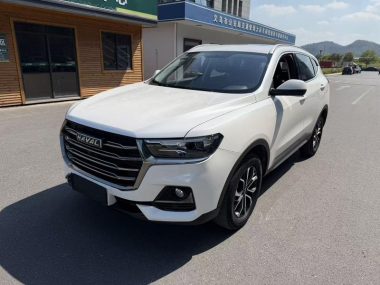 Haval H6 2022, фото 1