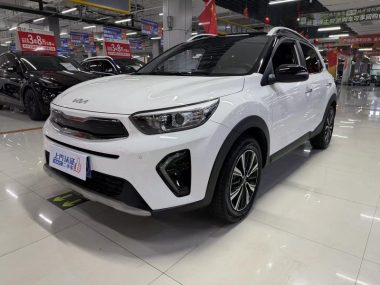 Kia Pegas 2023, фото 1