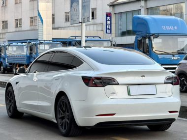 Tesla Model 3 Standard Range RWD Upgraded — фото 4