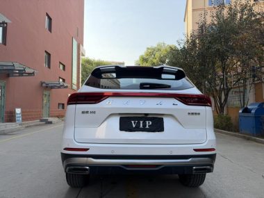 Haval H6 Guochao 1.5T AT Champion — фото 3