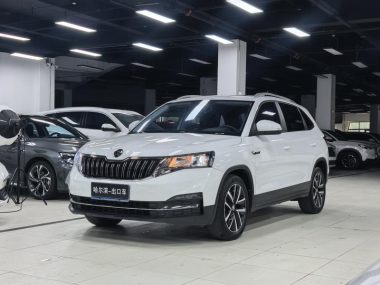Skoda Kamiq 2023, фото 1