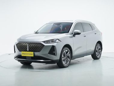 WEY DHT-PHEV 2022, фото 1