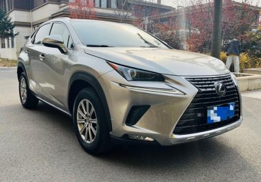Lexus NX 200 AWD Blade Style — фото 3