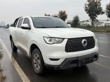 Great Wall POER 2.0T GW4C20B — фото 3