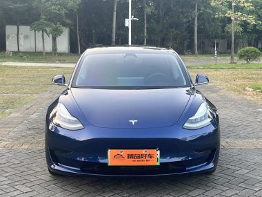Tesla Model 3 Standard Range RWD Upgraded — фото 2