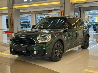 MINI COUNTRYMAN 2019, фото 1