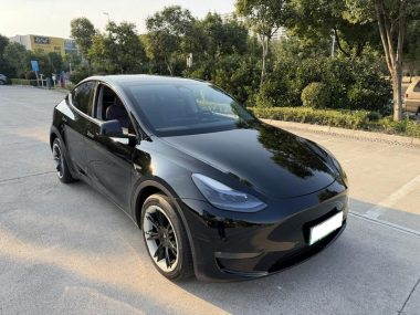Tesla Model Y Long Range AWD — фото 3