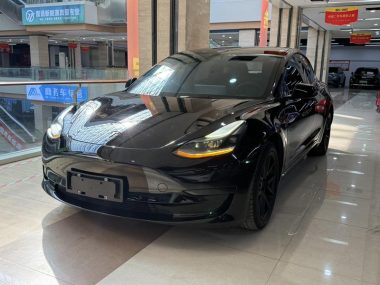 Tesla Model 3 2021, фото 1