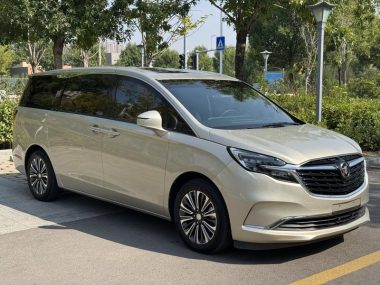 Buick GL8 ES Luzun 653T Luxury — фото 3