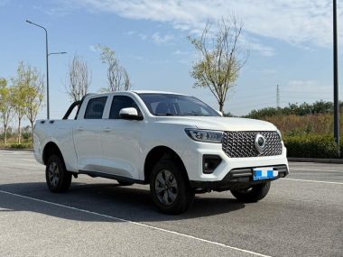 Great Wall POER 2.0T GW4C20B — фото 3