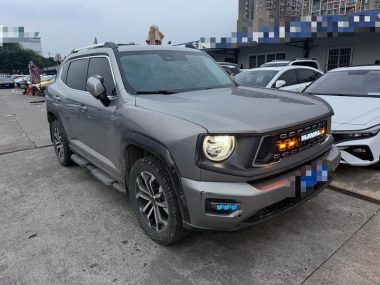 Haval Big Dog PLUS 2.0T Plus — фото 3