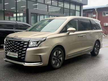 JAC Refine RF8 PHEV 2024, фото 1