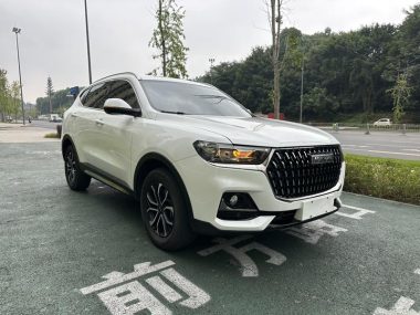 Haval H6 Guochao 1.5T AT Champion — фото 3