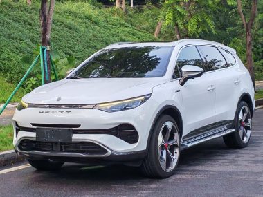 Denza X PHEV 2021, фото 1