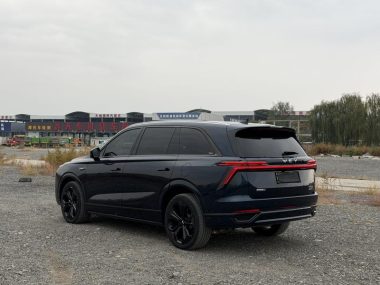 WEY Lanshan 4WD Ultra Long Range — фото 4