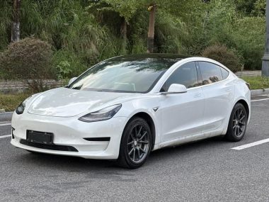 Tesla Model 3 2020, фото 1