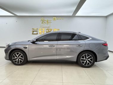 BYD Qin L DM DM-i 120KM — фото 4