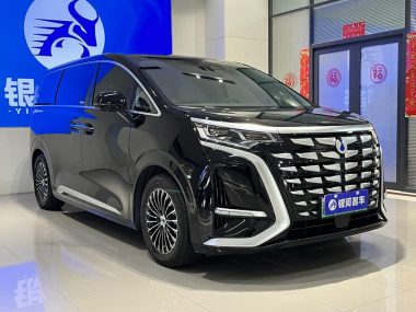 Denza D9 DM 970 4WD Prestige — фото 3