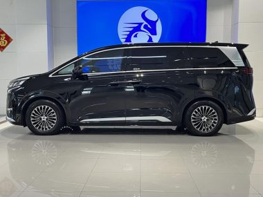 Denza D9 DM 970 4WD Prestige — фото 4