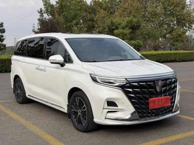 Roewe iMAX8 400TGI — фото 3