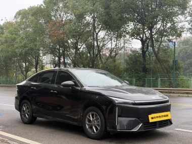 Geely Galaxy L6 1.5T DHT 125km PLUS — фото 3