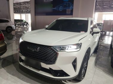 Haval H6 2020, фото 1