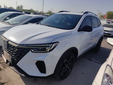 Roewe RX5 2022, фото 1