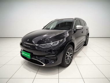 Denza X 2022, фото 1