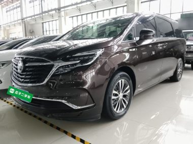 Buick GL8 2021, фото 1