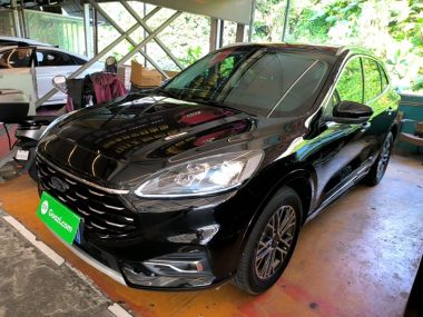 Ford Escape 2021, фото 1