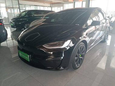 Tesla Model X 2023, фото 1
