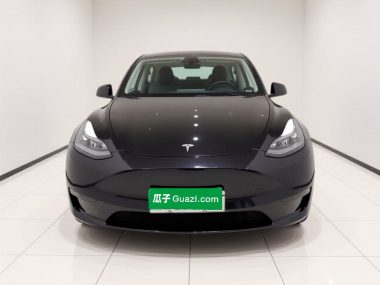 Tesla Model Y Long Range AWD Edition — фото 2