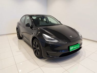 Tesla Model Y Long Range AWD Edition — фото 3