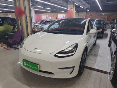 Tesla Model 3 (Import) 2019, фото 1